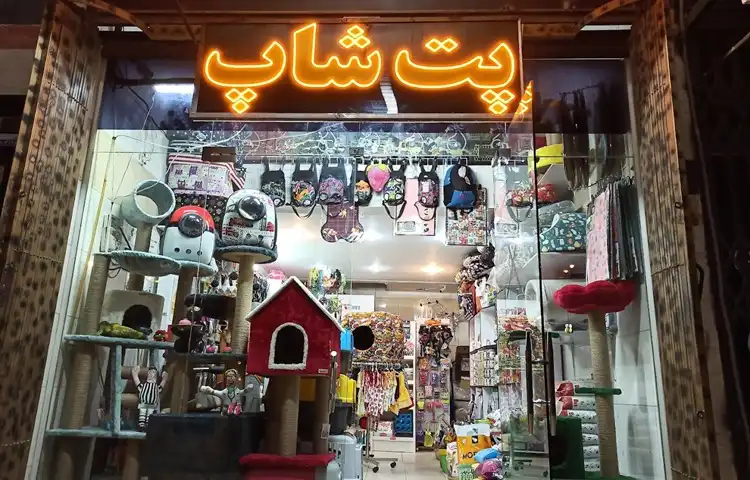 پت شاپ در شیراز